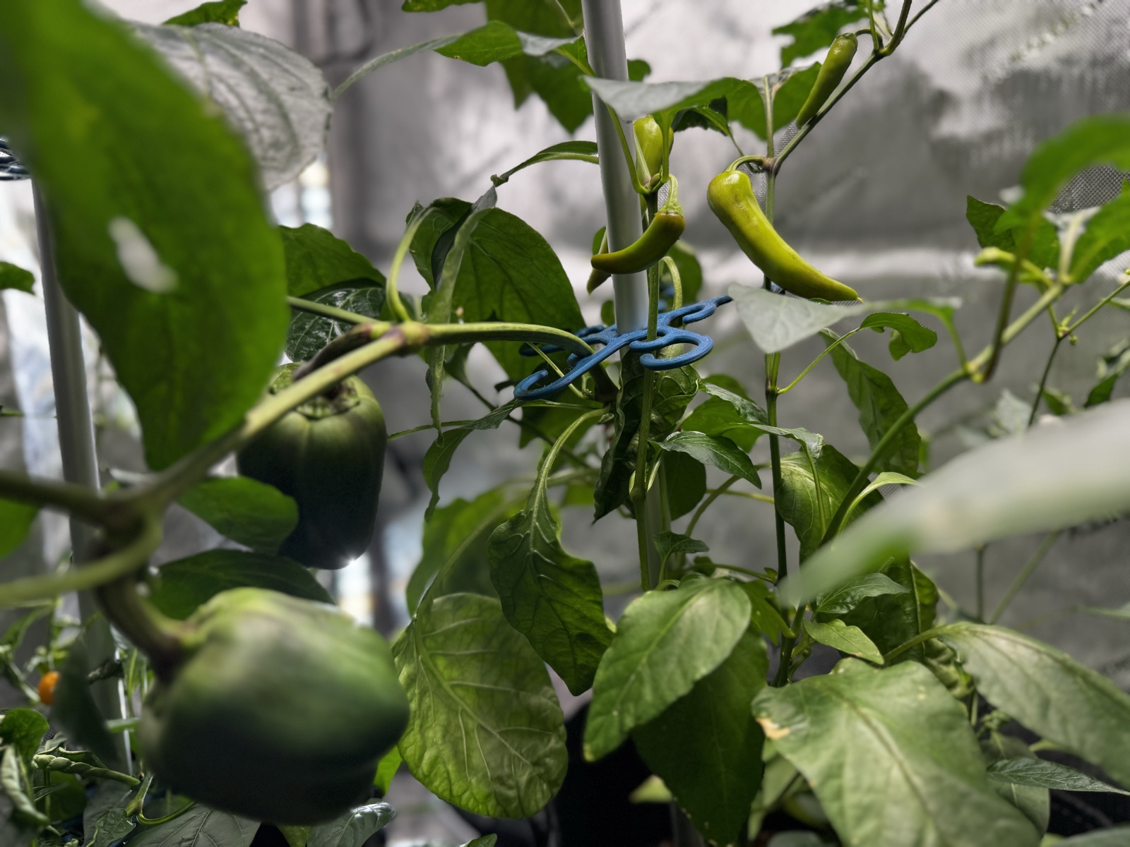 AgTech Lab / AgroBrain photo 302