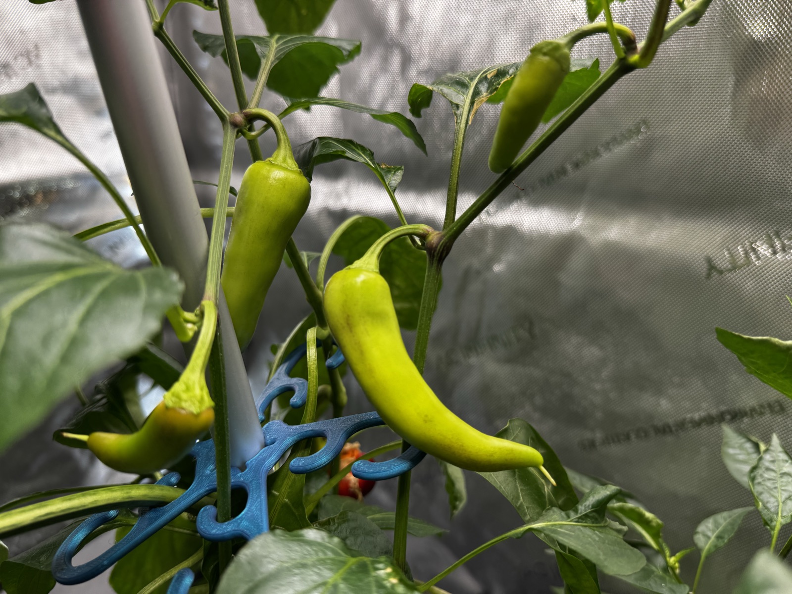 AgTech Lab / AgroBrain photo 304