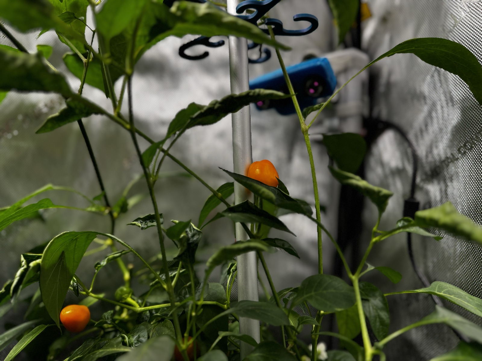 AgTech Lab / AgroBrain photo 306