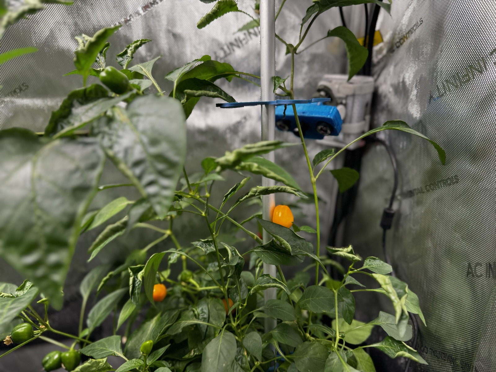 AgTech Lab / AgroBrain photo 307