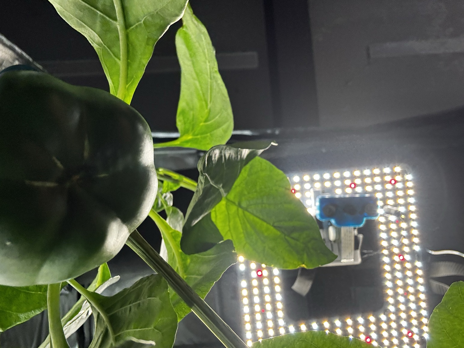 AgTech Lab / AgroBrain photo 309