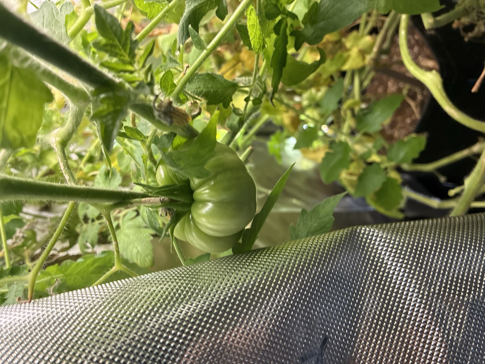 AgTech Lab / AgroBrain photo 31