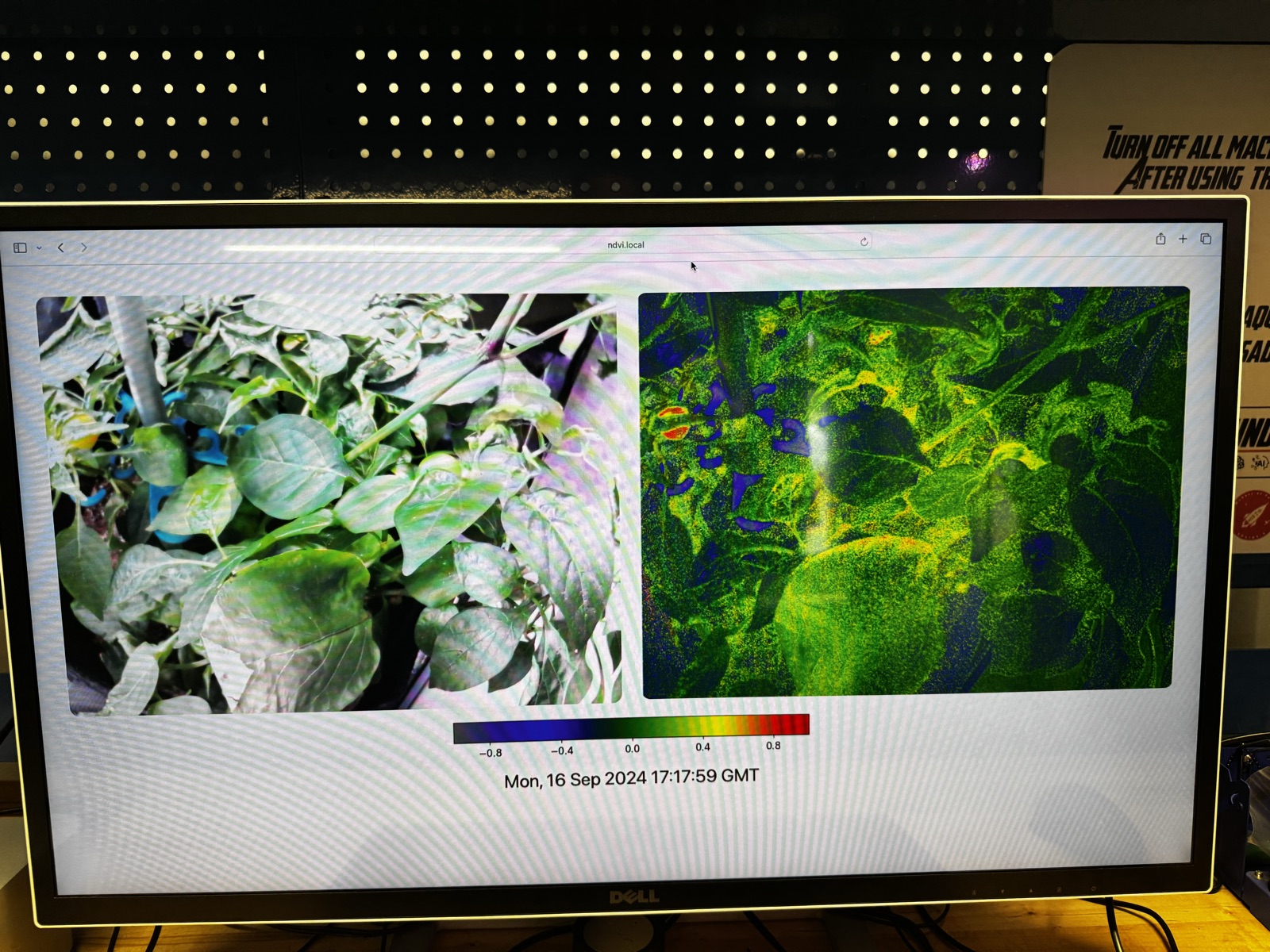 AgTech Lab / AgroBrain photo 311