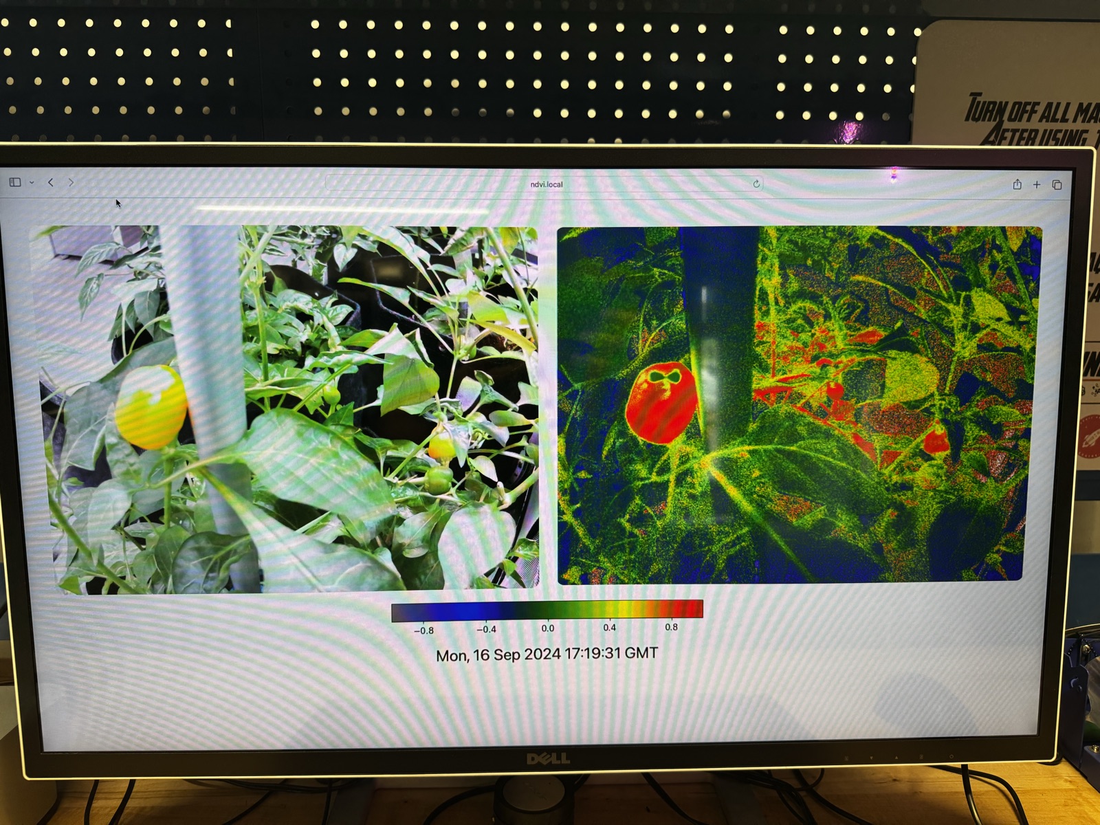 AgTech Lab / AgroBrain photo 312