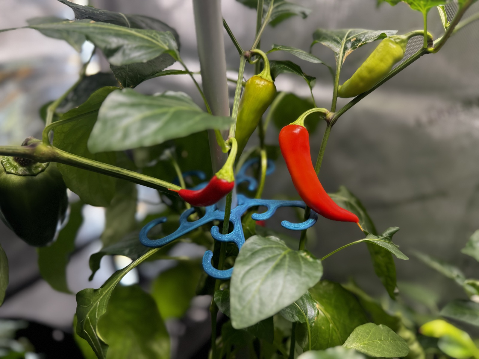 AgTech Lab / AgroBrain photo 314