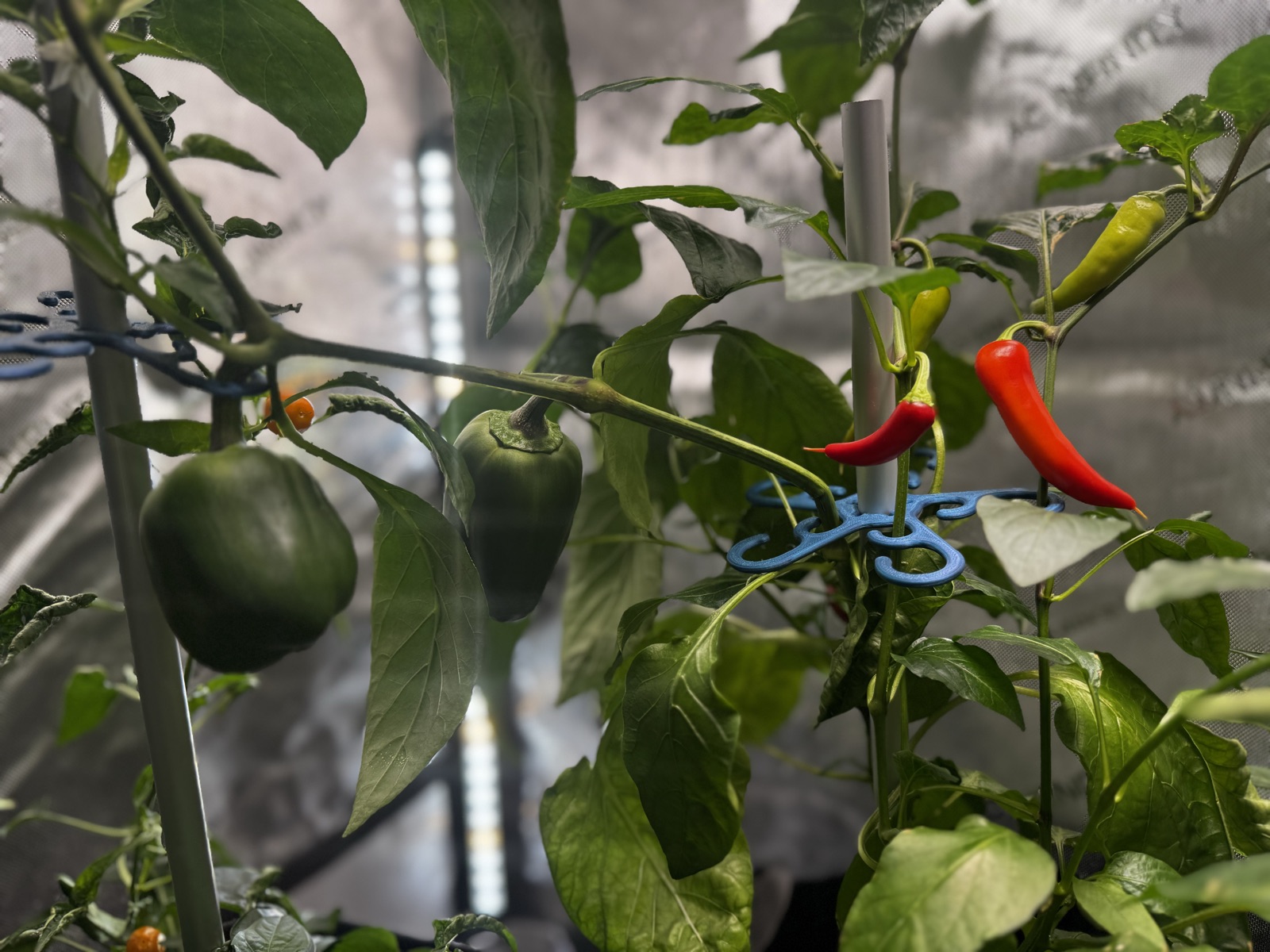 AgTech Lab / AgroBrain photo 315