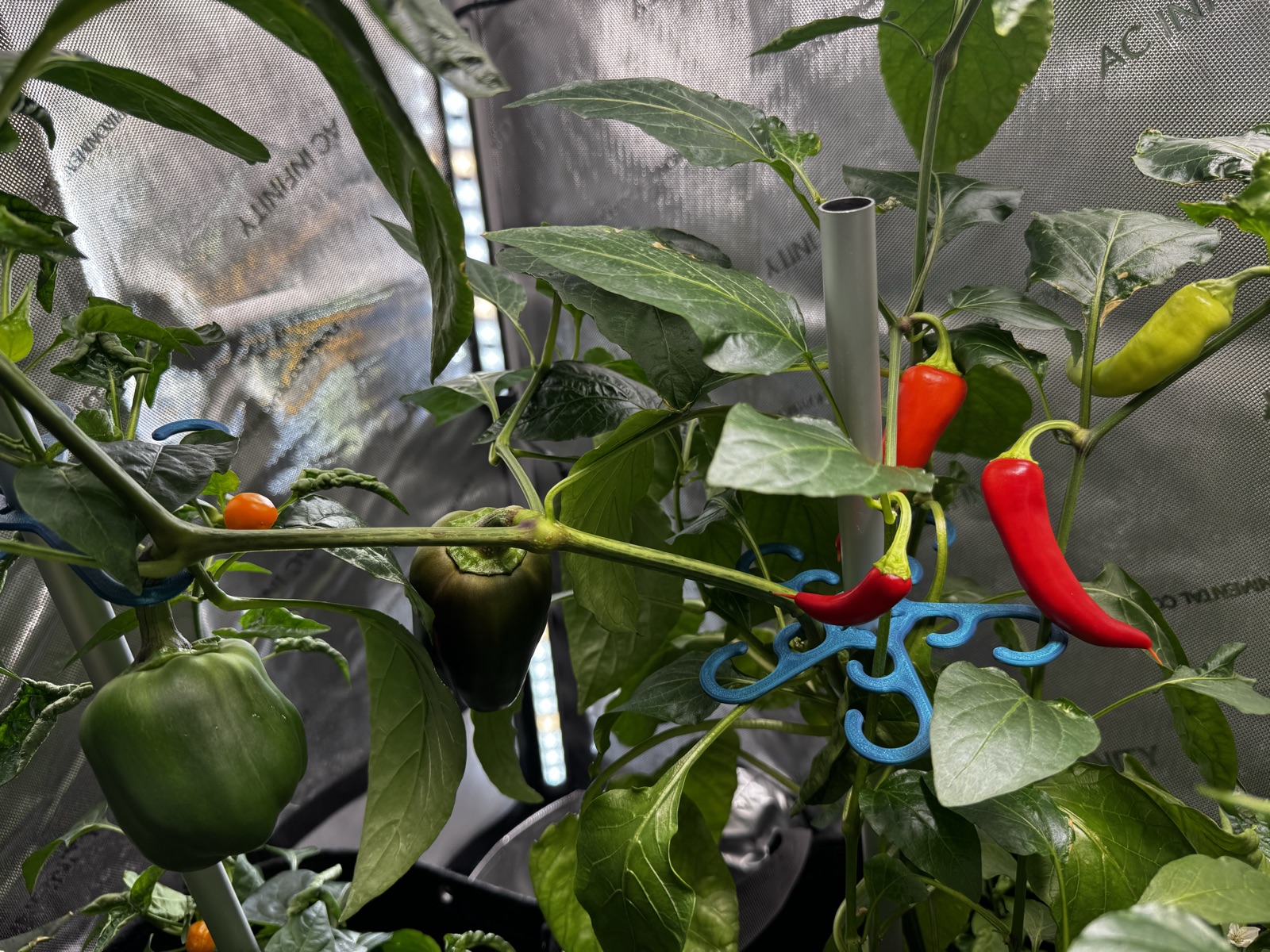 AgTech Lab / AgroBrain photo 316