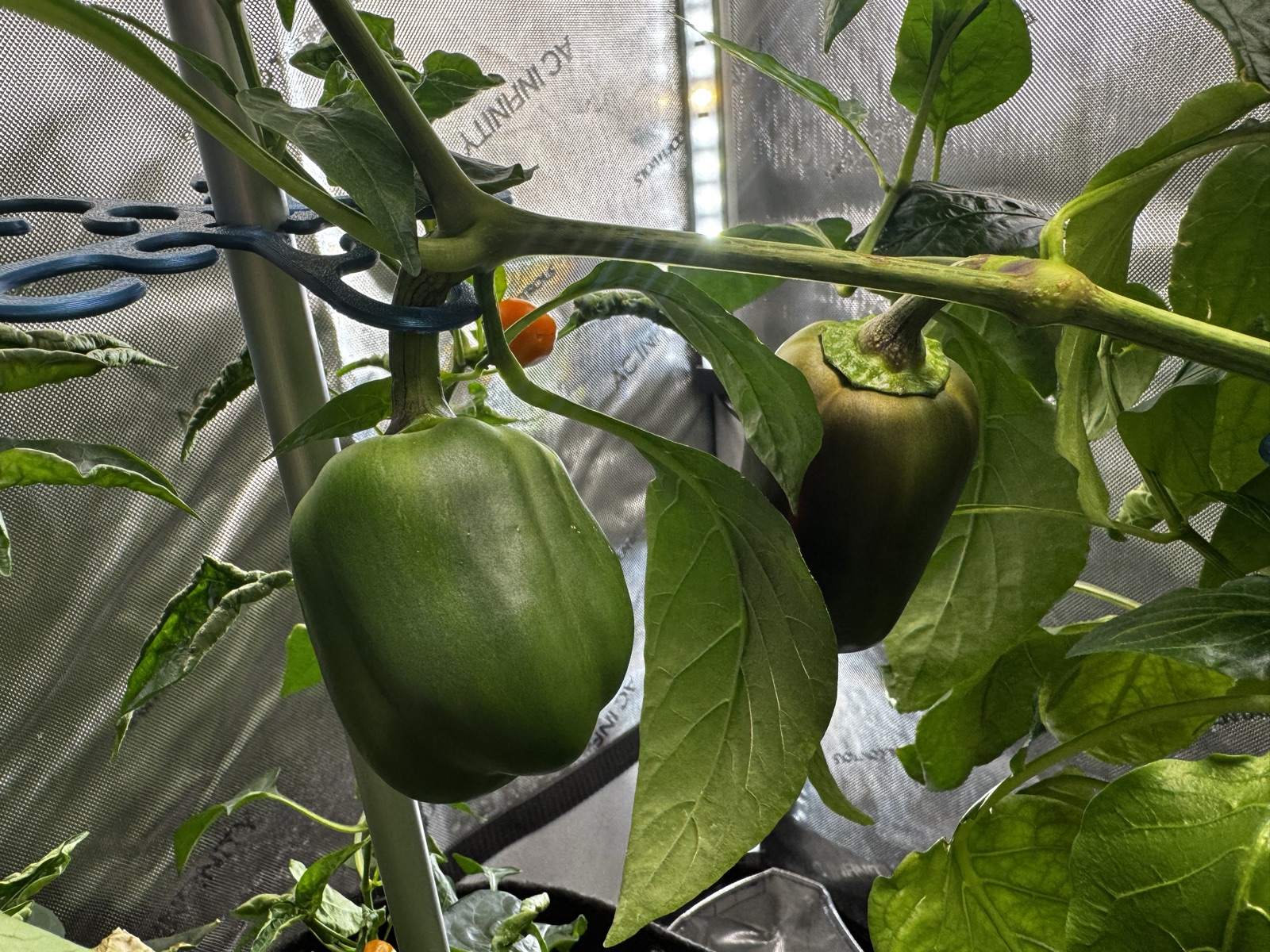 AgTech Lab / AgroBrain photo 318
