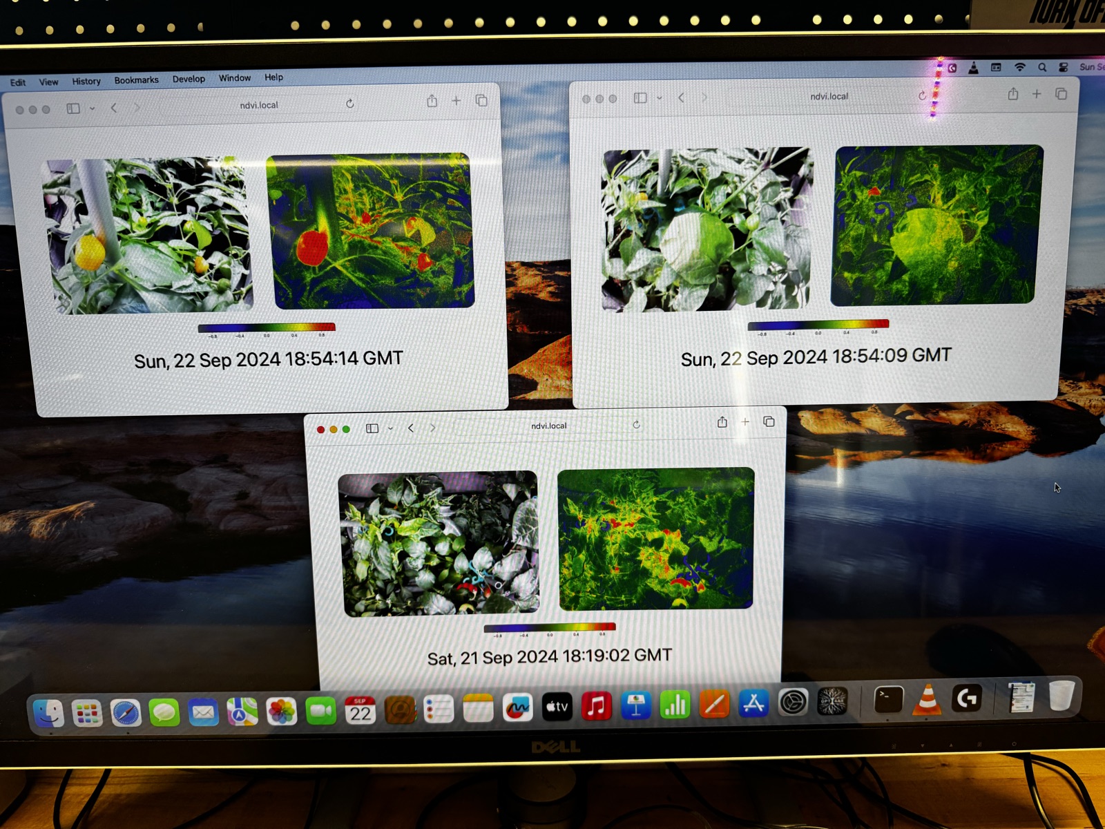 AgTech Lab / AgroBrain photo 320