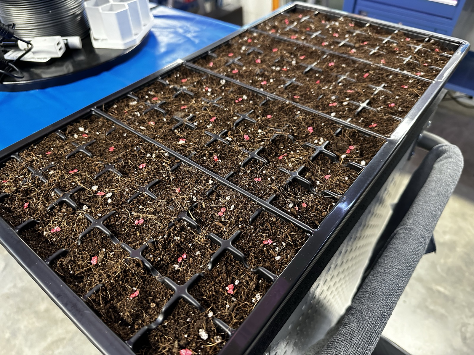 AgTech Lab / AgroBrain photo 346