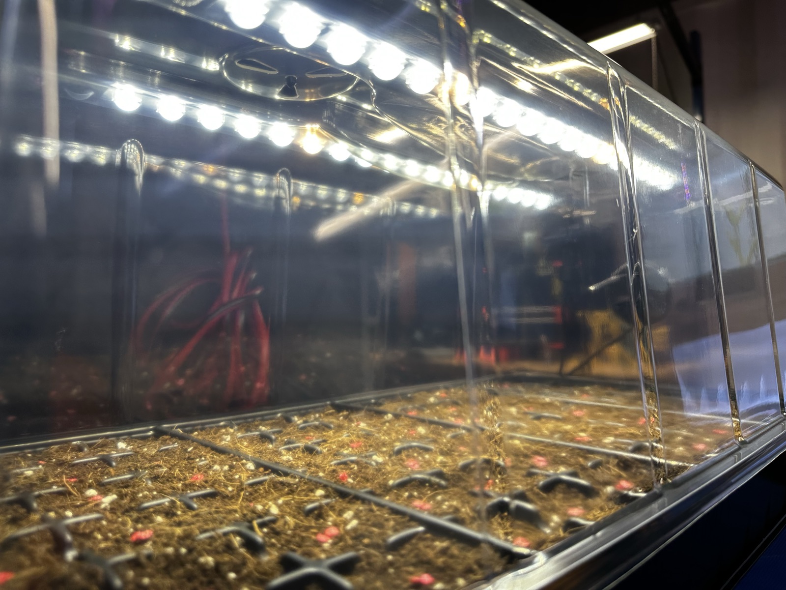 AgTech Lab / AgroBrain photo 348