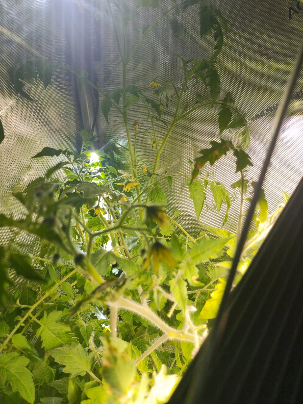 AgTech Lab / AgroBrain photo 35