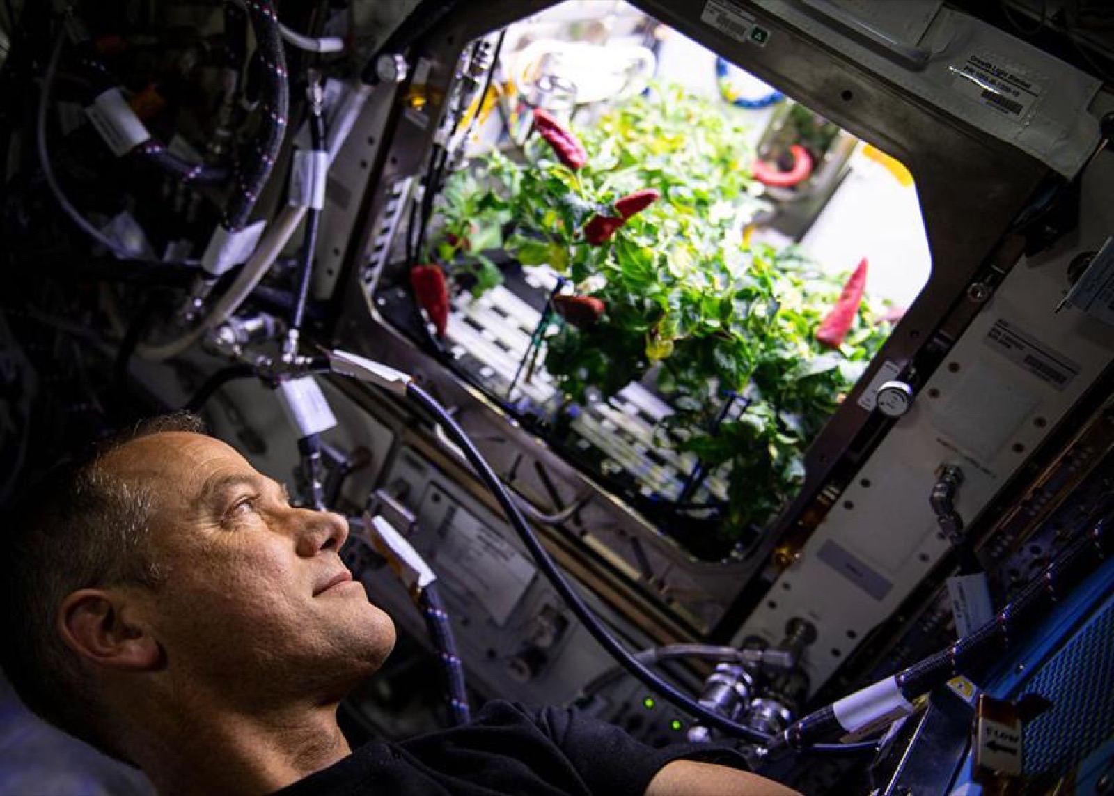 AgTech Lab / AgroBrain photo 350