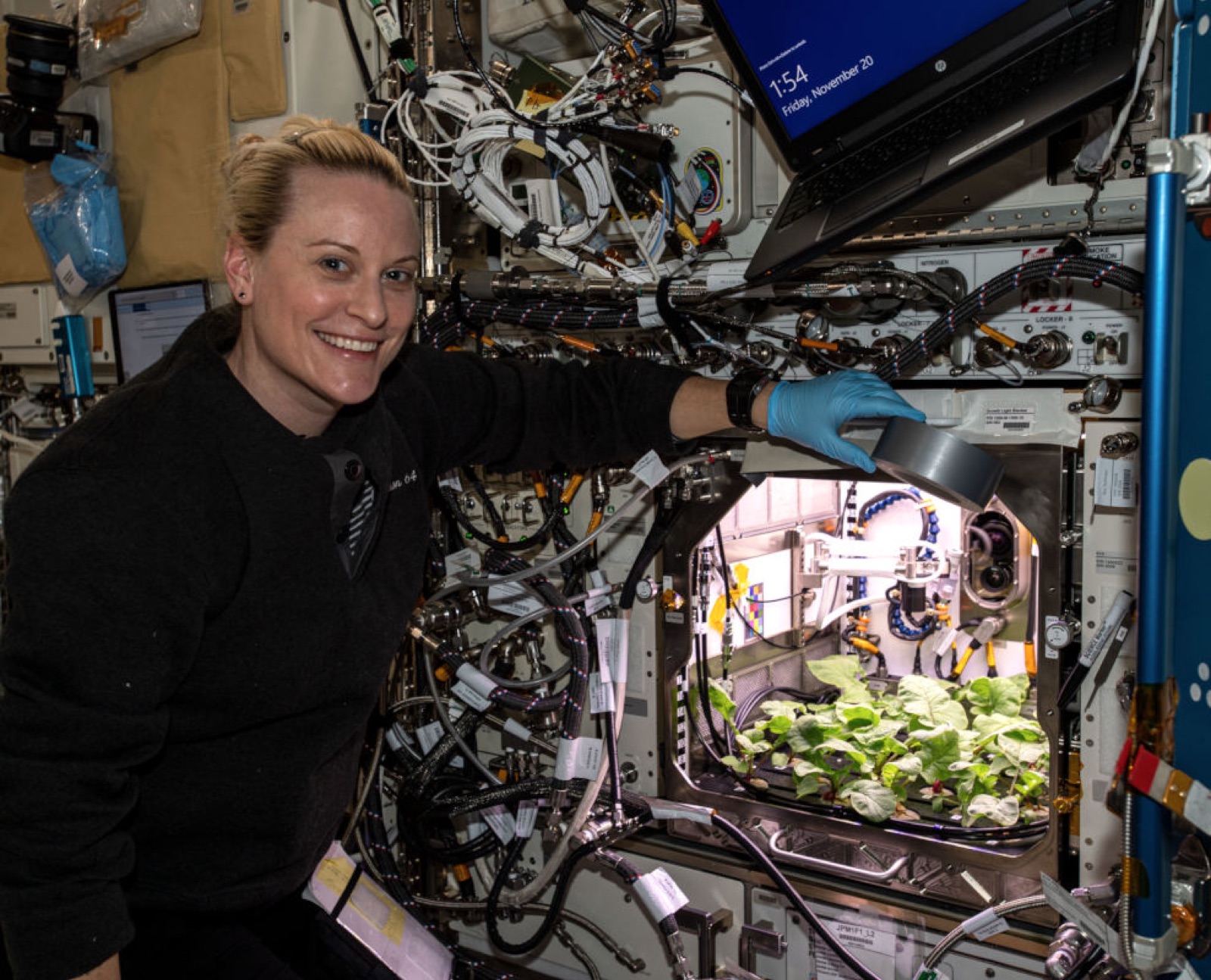 AgTech Lab / AgroBrain photo 351
