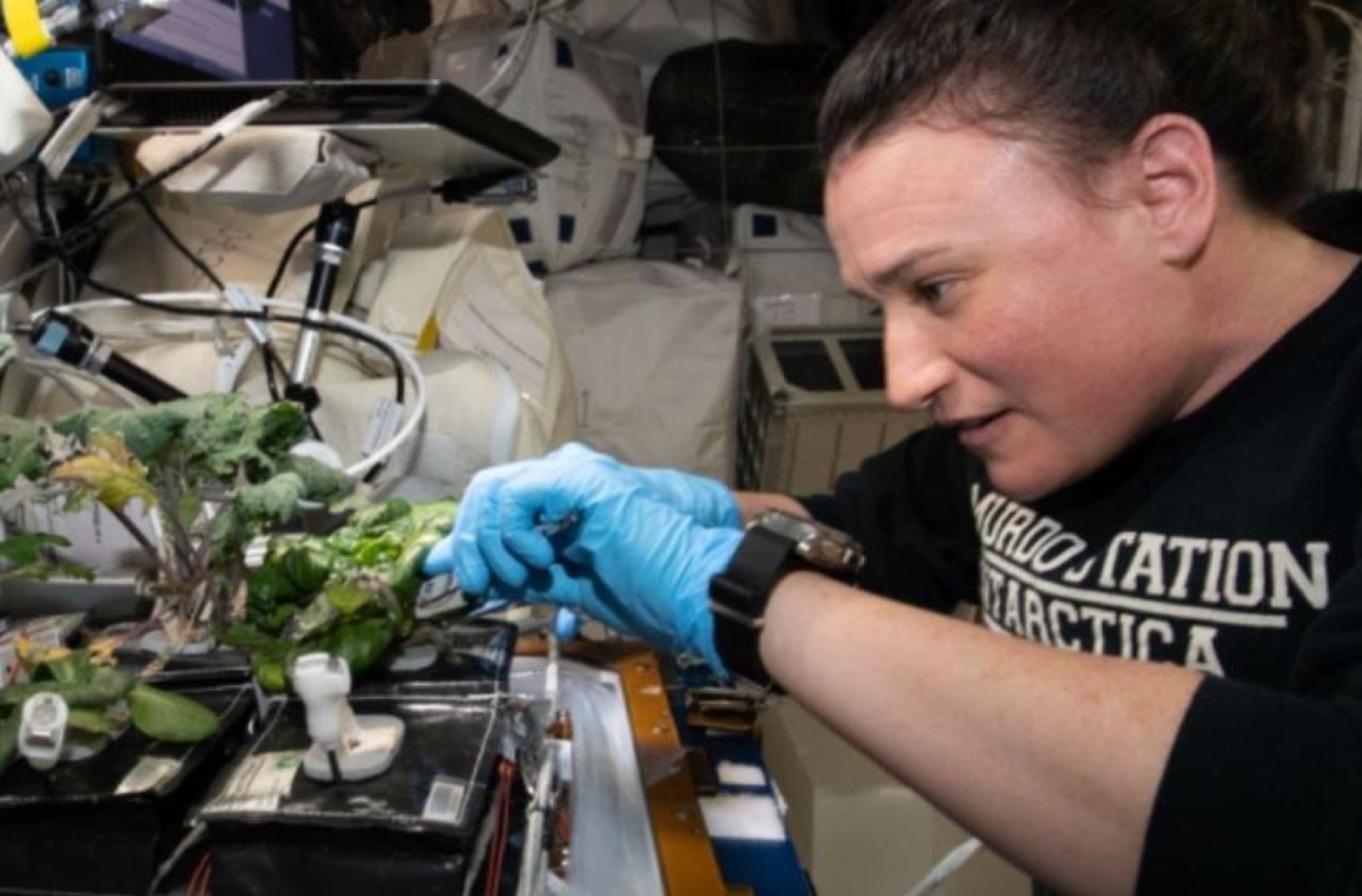 AgTech Lab / AgroBrain photo 353