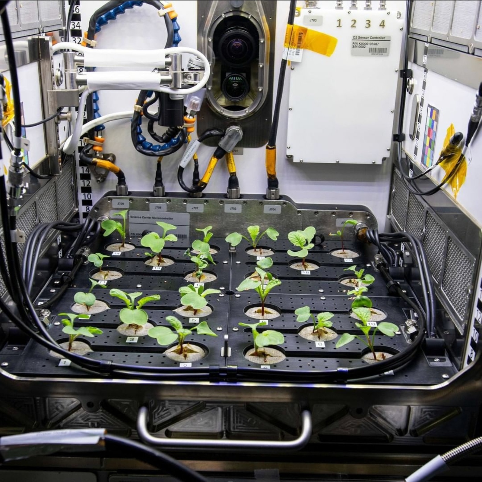 AgTech Lab / AgroBrain photo 354