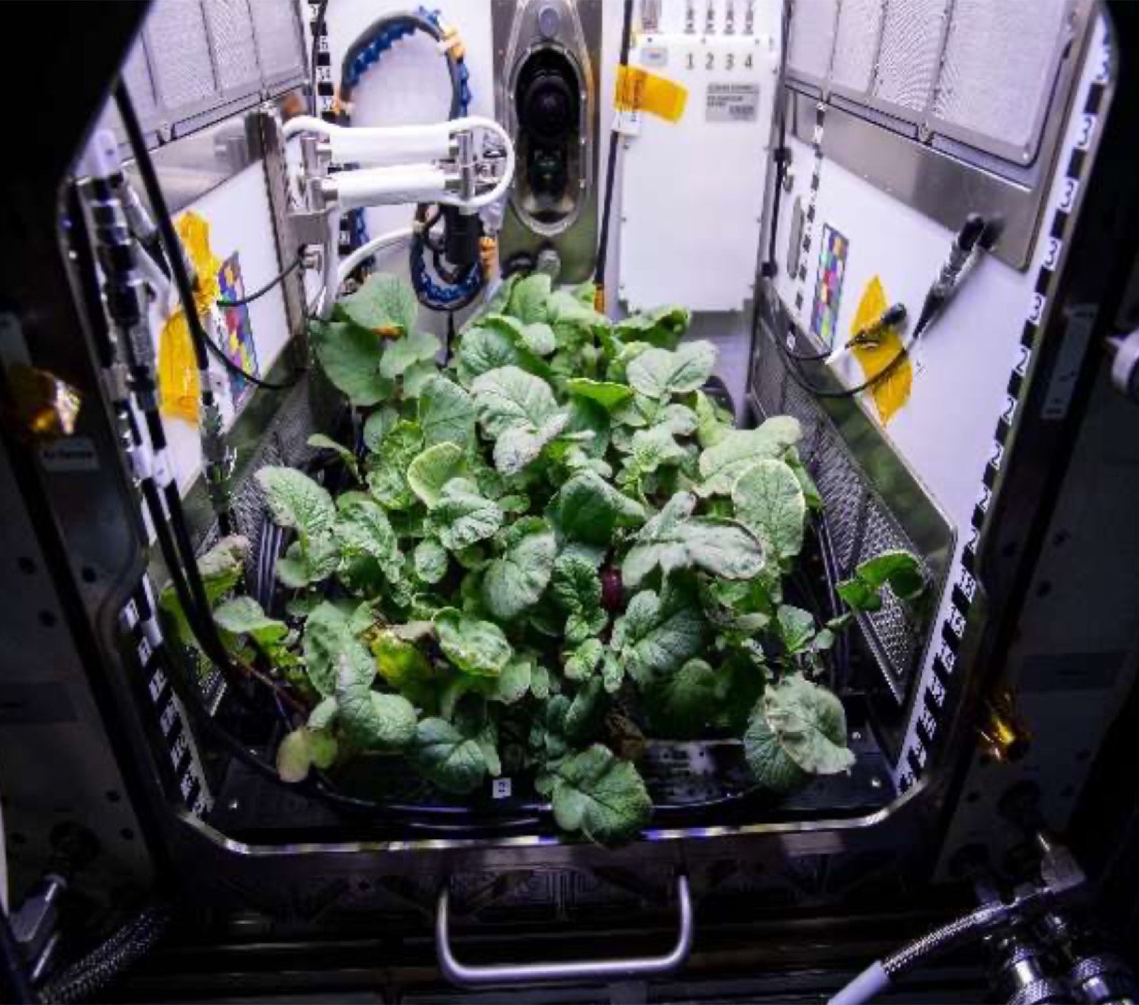 AgTech Lab / AgroBrain photo 355
