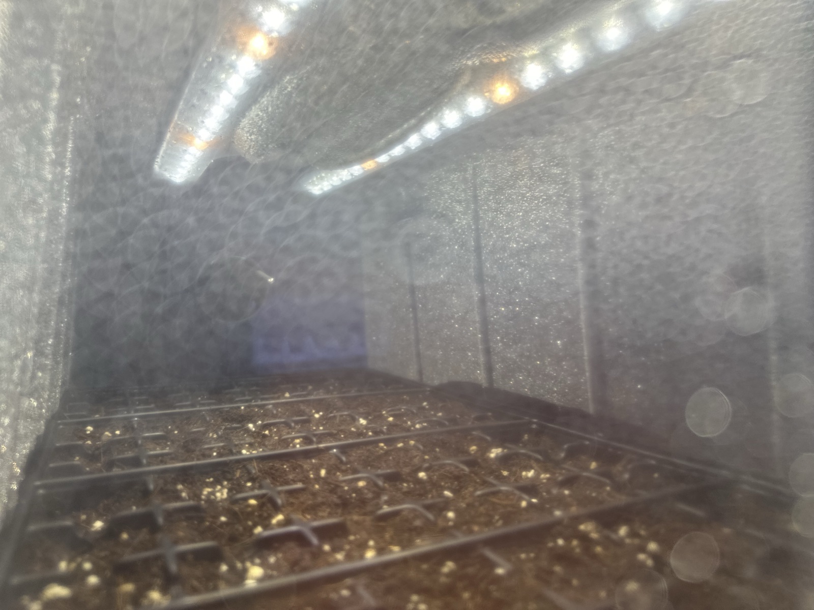 AgTech Lab / AgroBrain photo 369