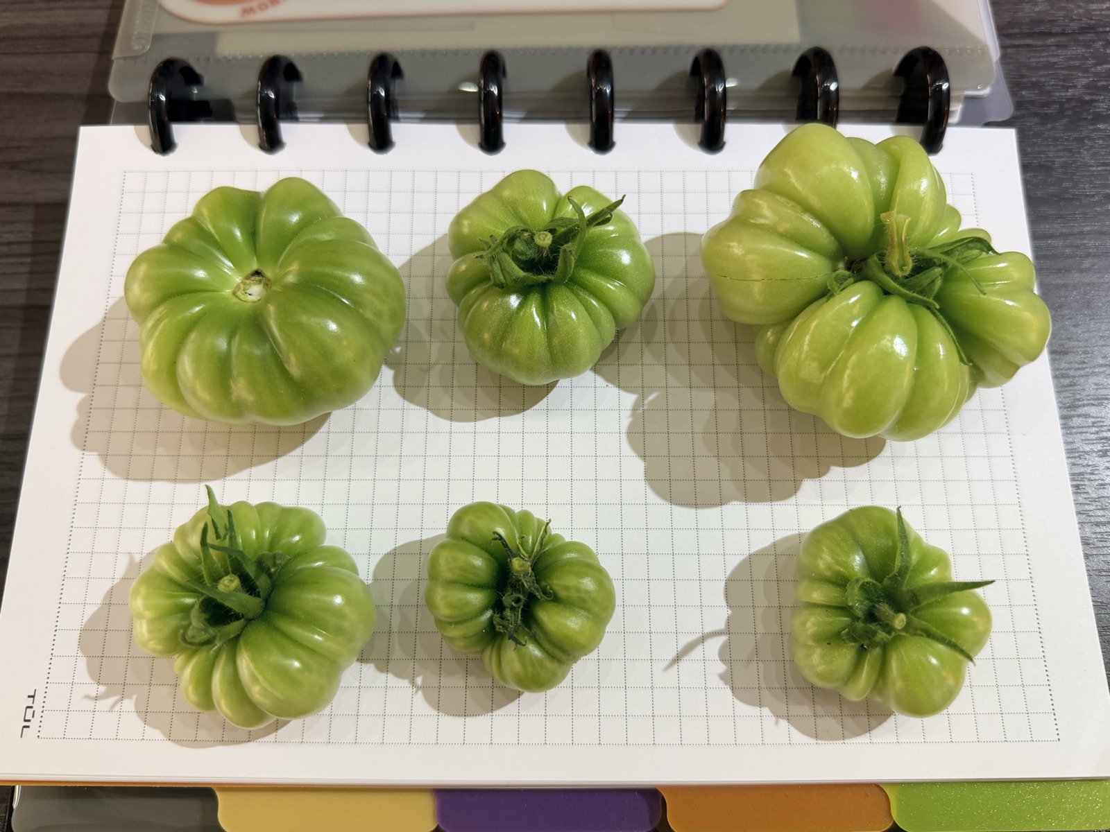 AgTech Lab / AgroBrain photo 371