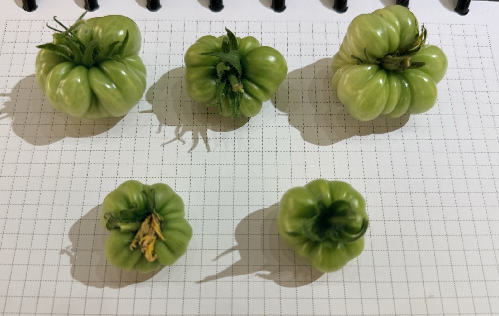 AgTech Lab / AgroBrain photo 372