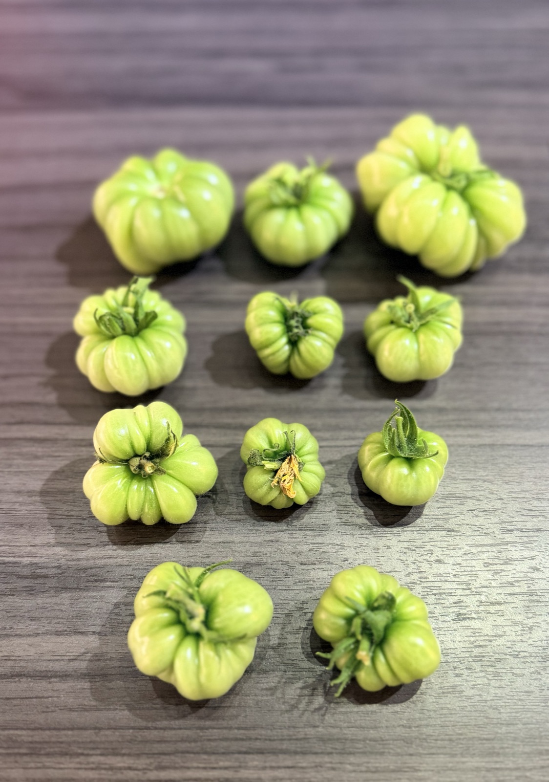AgTech Lab / AgroBrain photo 374