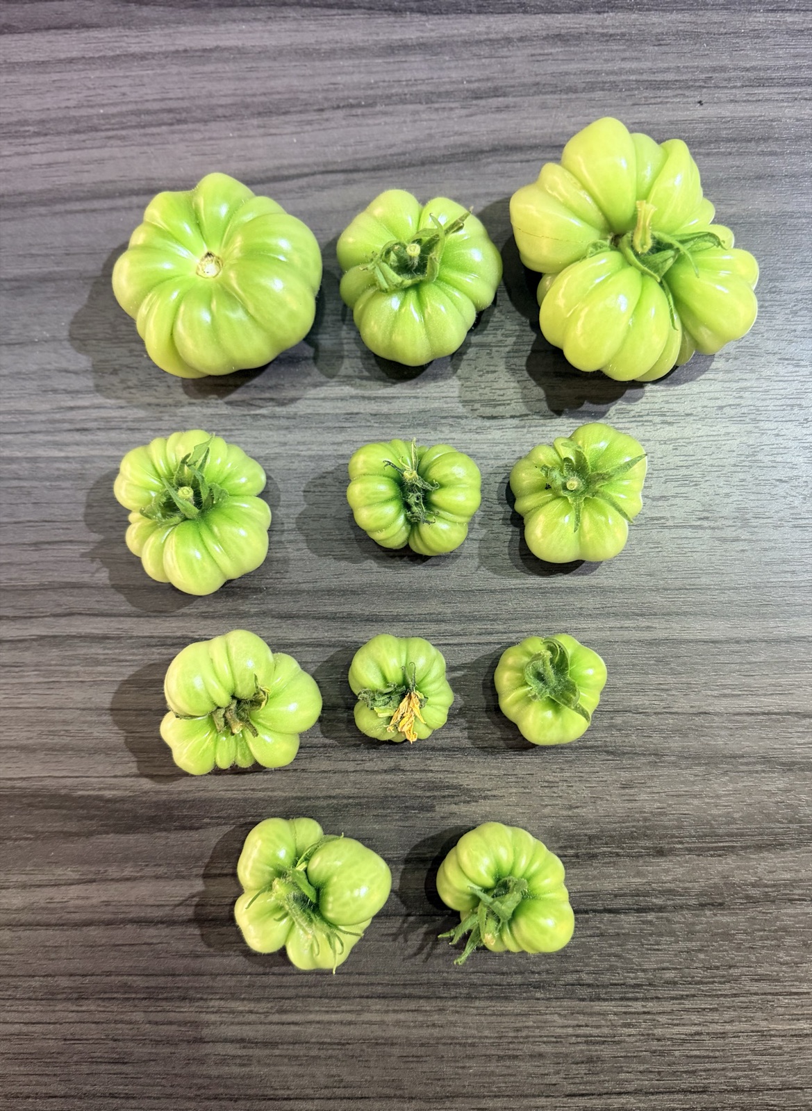 AgTech Lab / AgroBrain photo 375