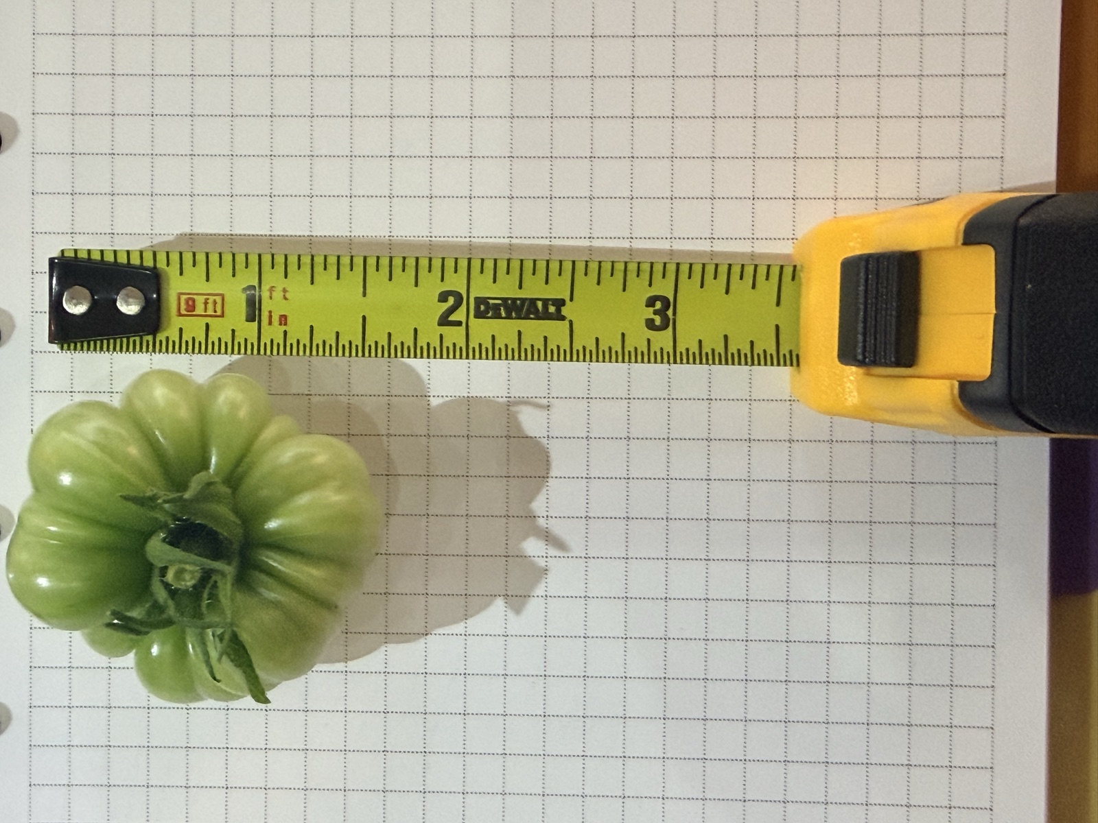 AgTech Lab / AgroBrain photo 378