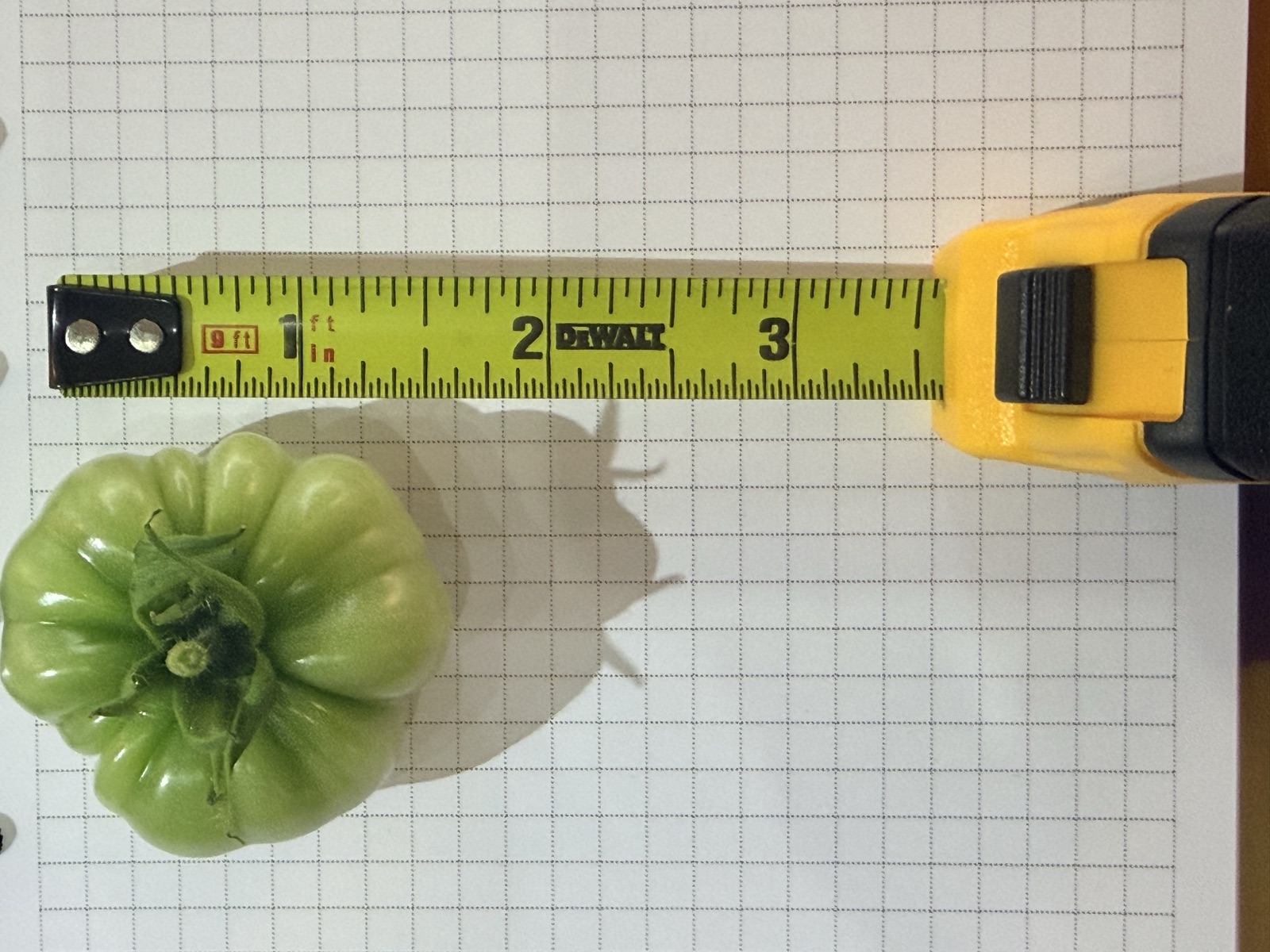 AgTech Lab / AgroBrain photo 379