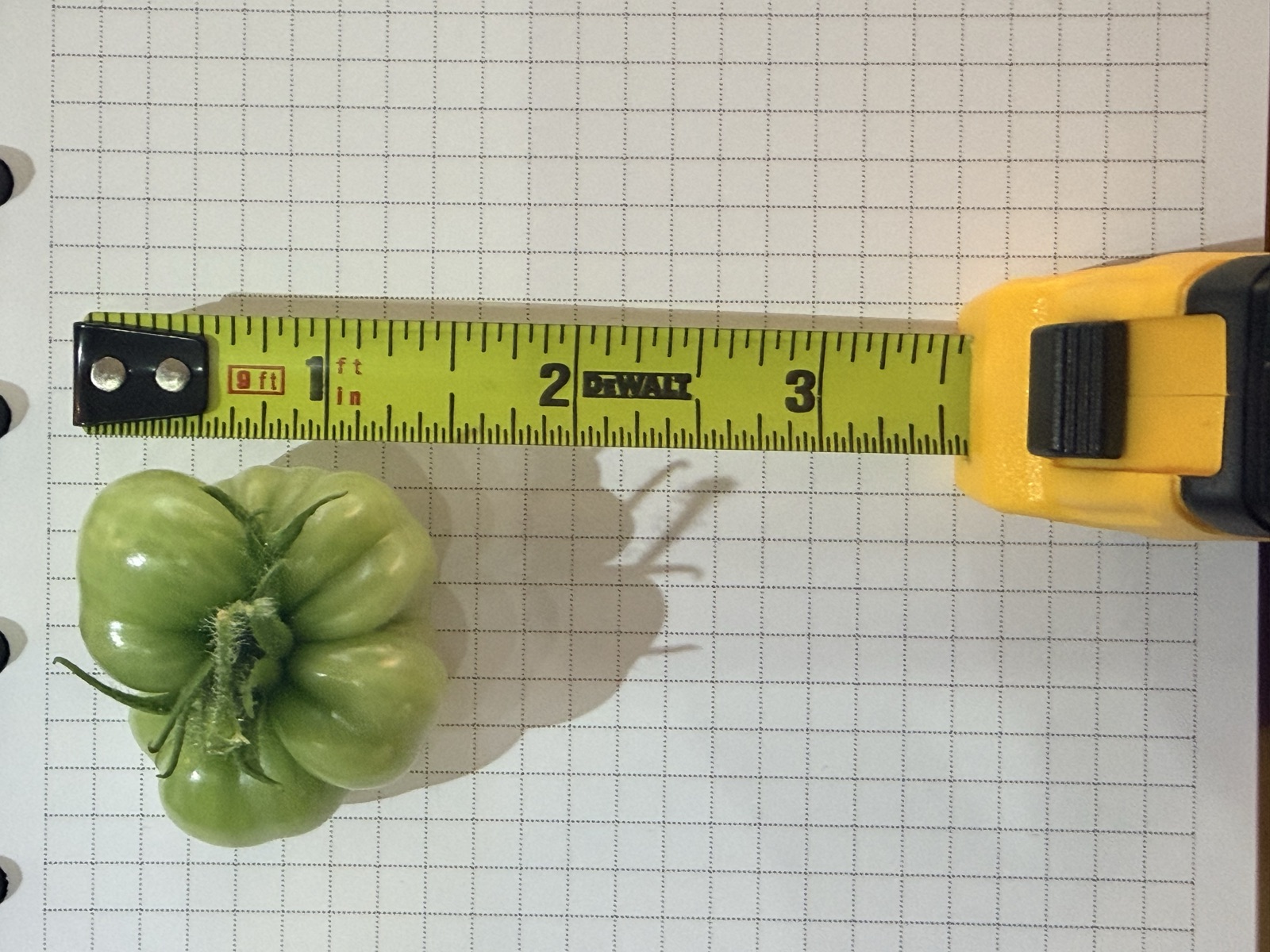 AgTech Lab / AgroBrain photo 381