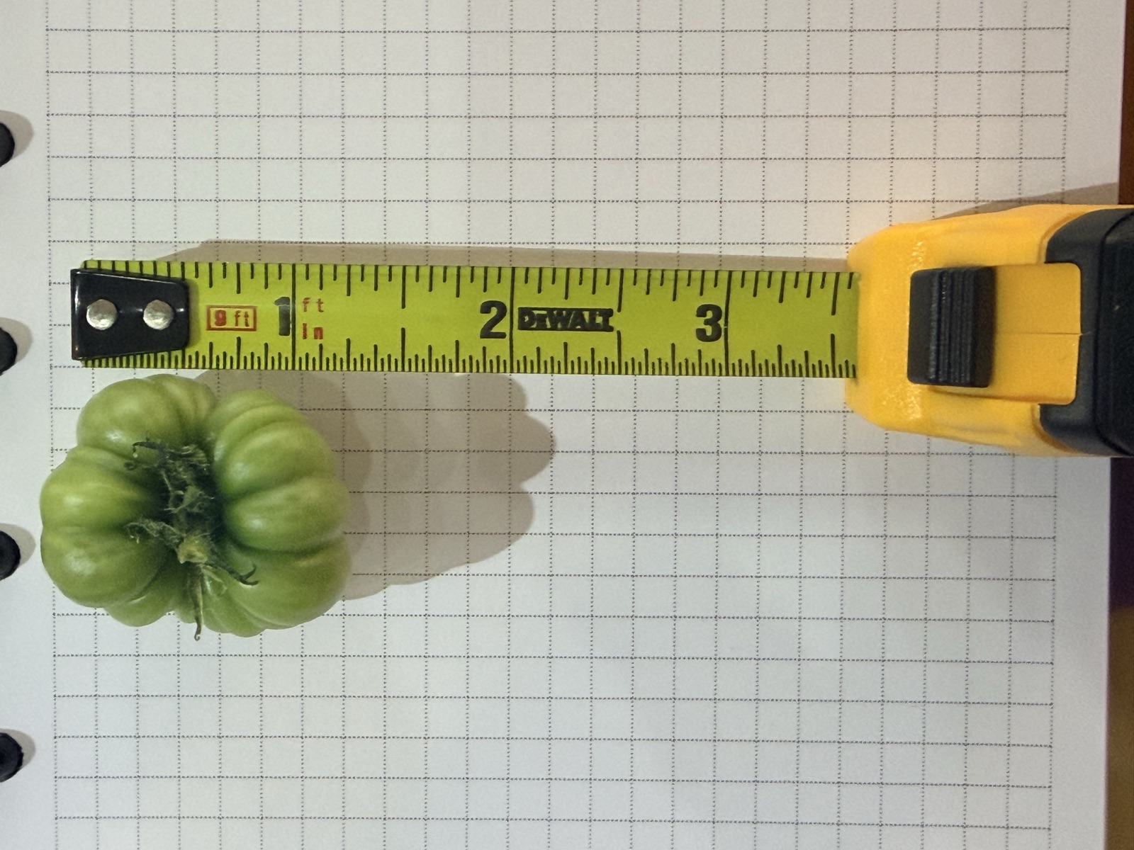 AgTech Lab / AgroBrain photo 382