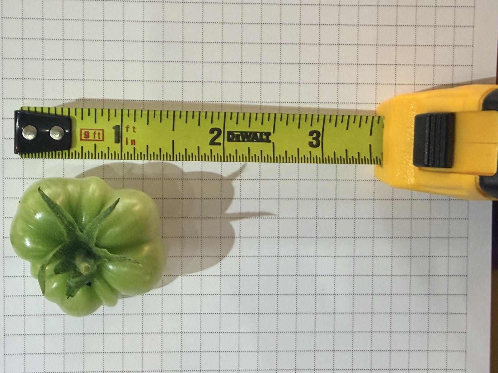 AgTech Lab / AgroBrain photo 383
