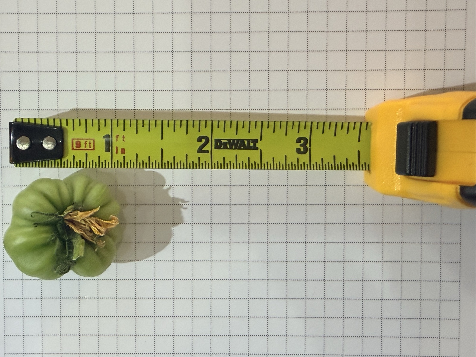 AgTech Lab / AgroBrain photo 384