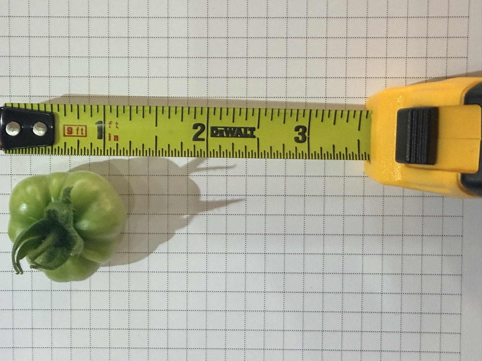 AgTech Lab / AgroBrain photo 385