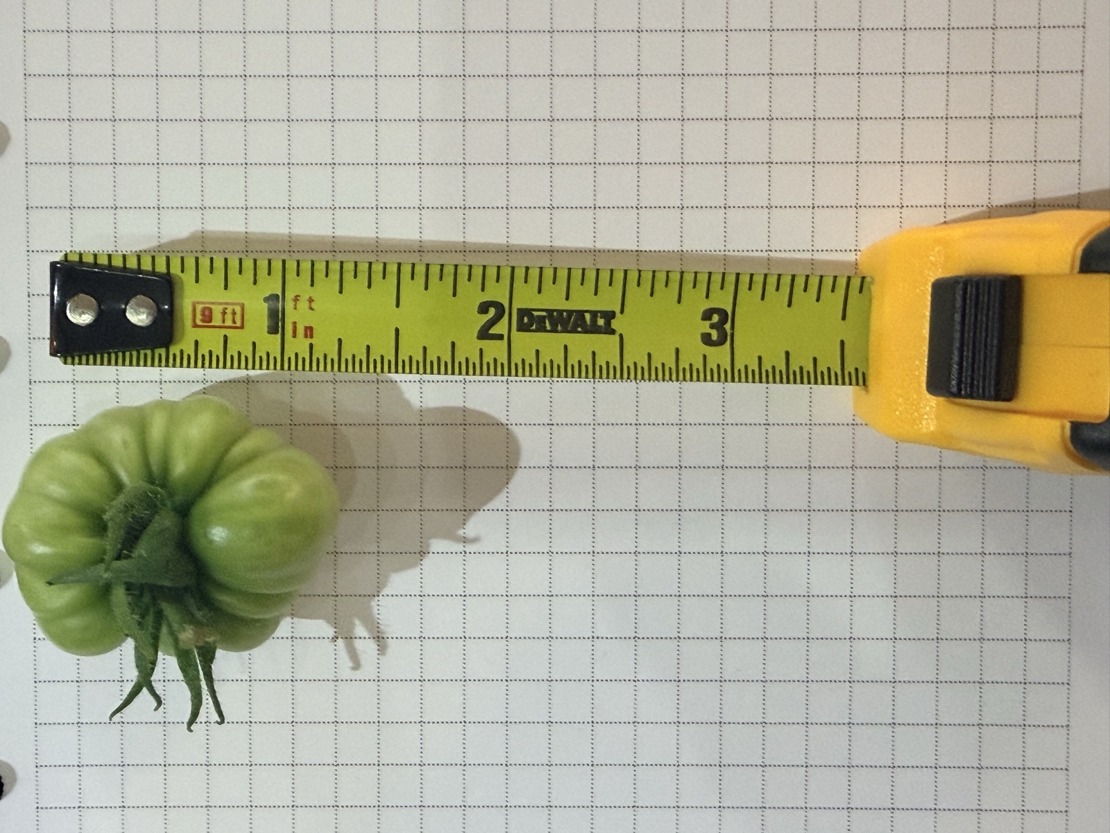 AgTech Lab / AgroBrain photo 386