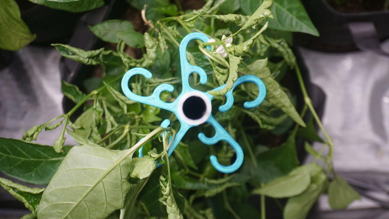 AgTech Lab / AgroBrain photo 40