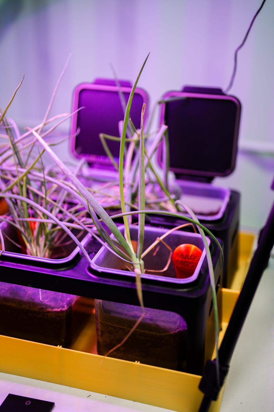 AgTech Lab / AgroBrain photo 408