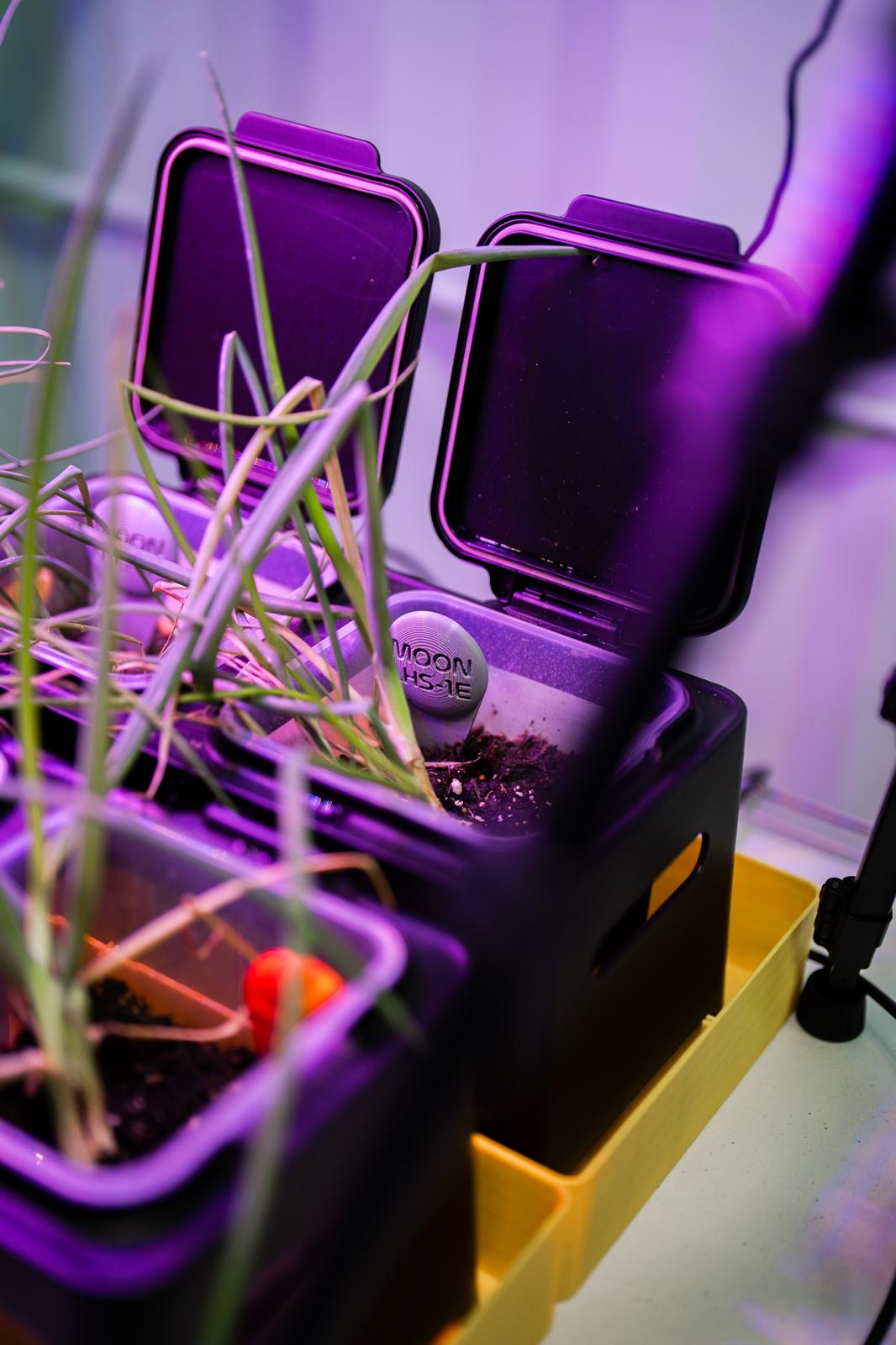 AgTech Lab / AgroBrain photo 409