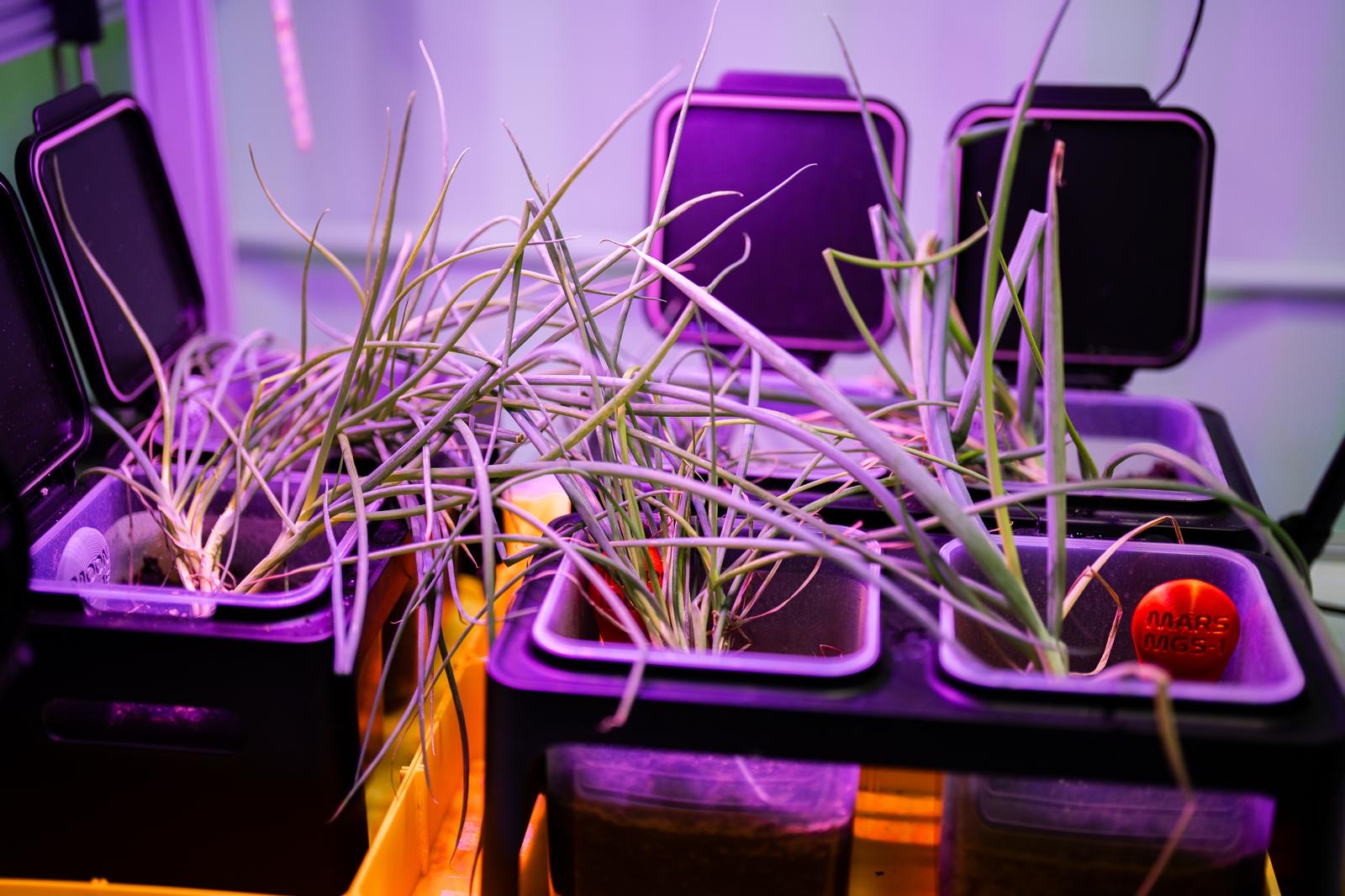AgTech Lab / AgroBrain photo 413