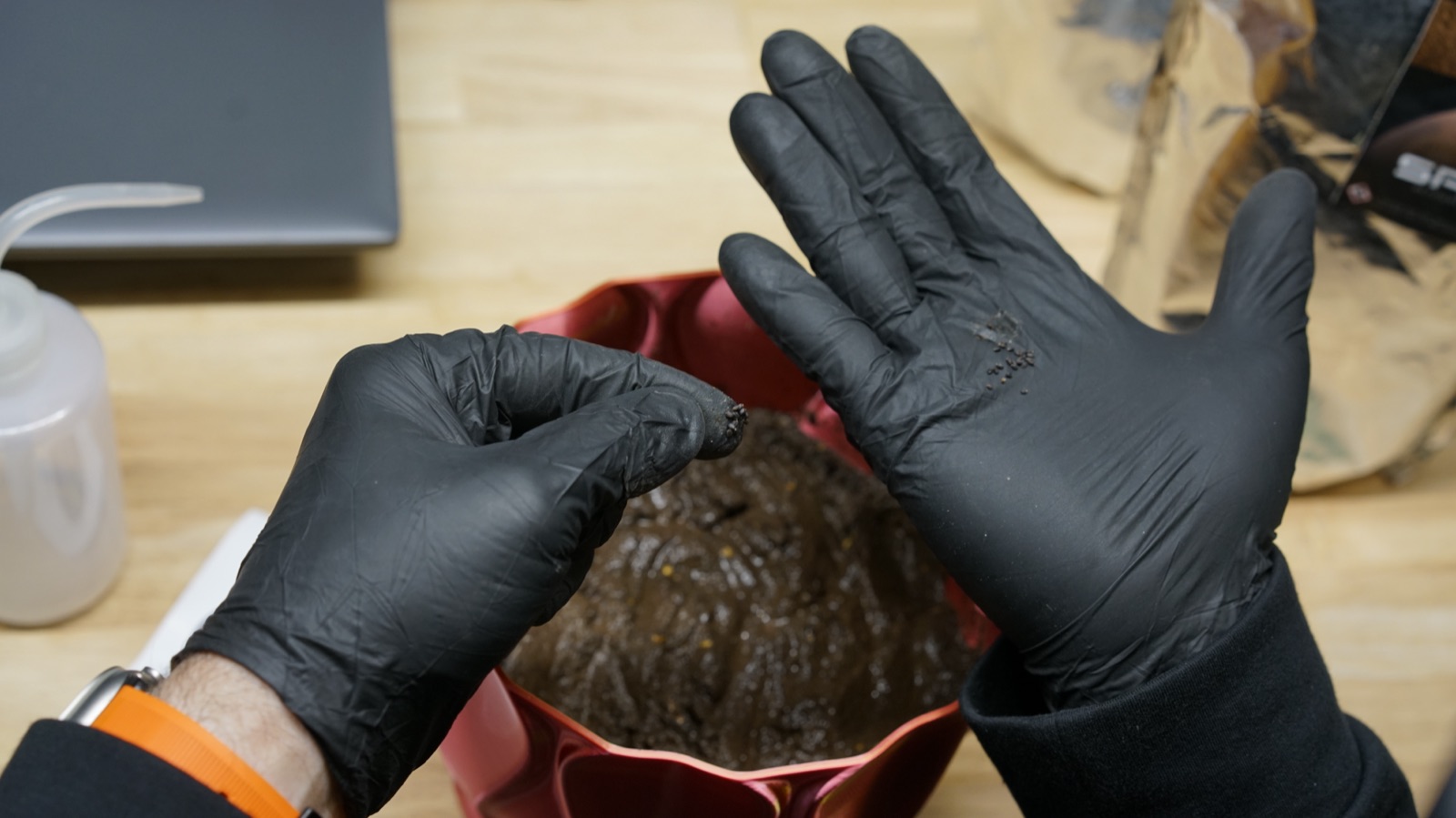 AgTech Lab / AgroBrain photo 46