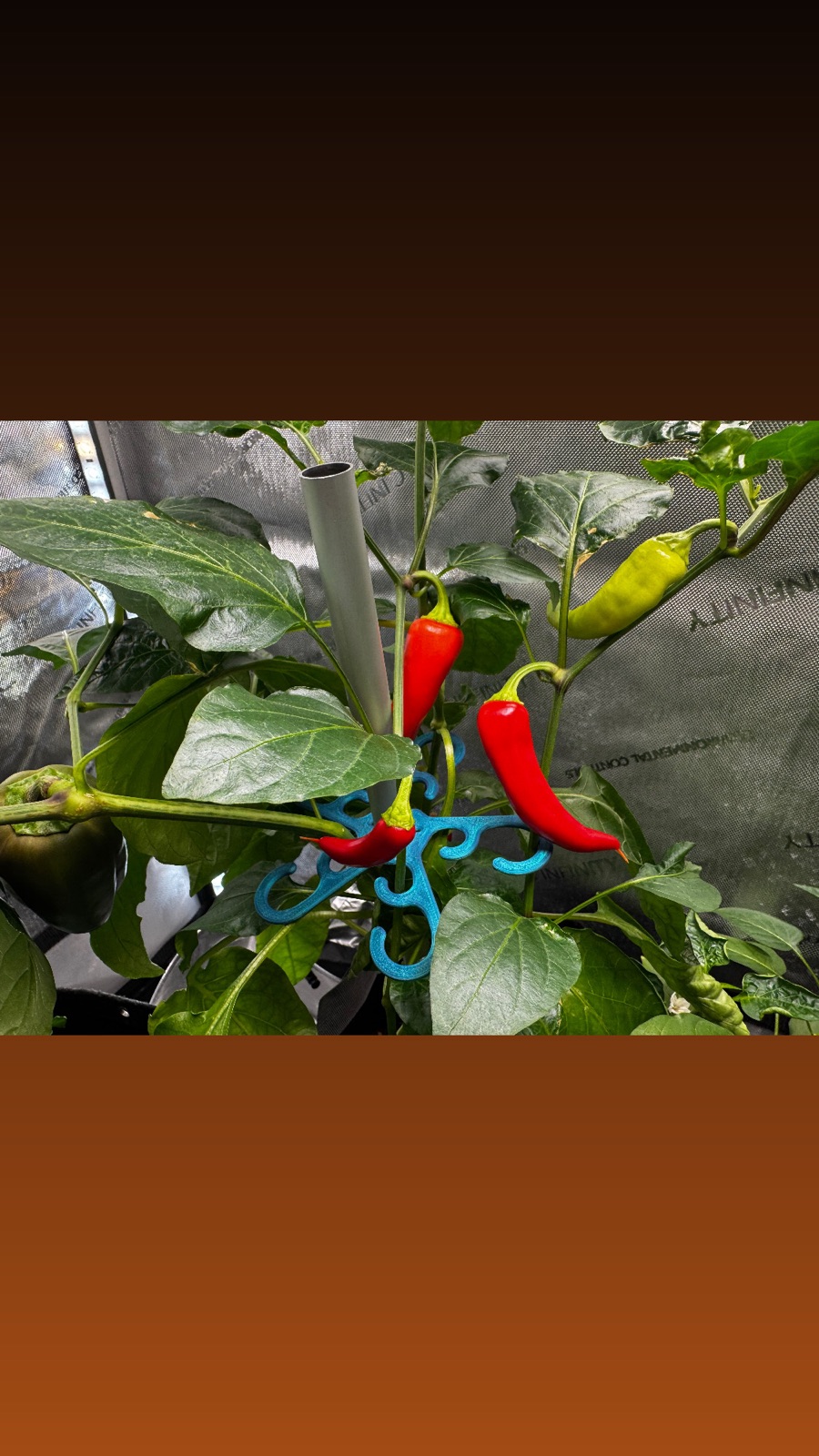 AgTech Lab / AgroBrain photo 59