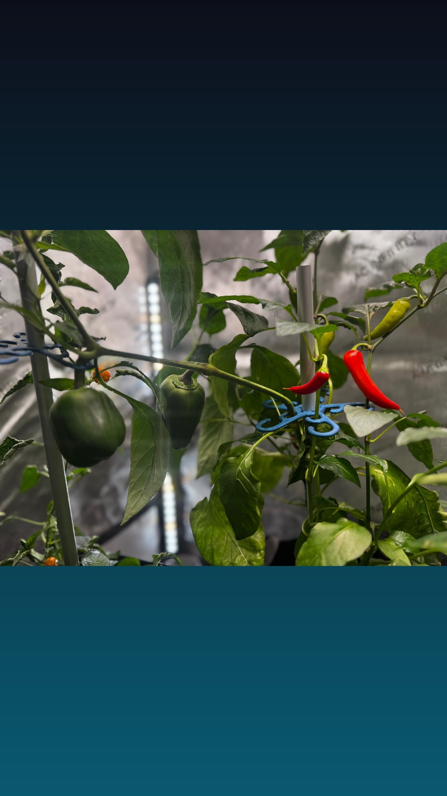 AgTech Lab / AgroBrain photo 62