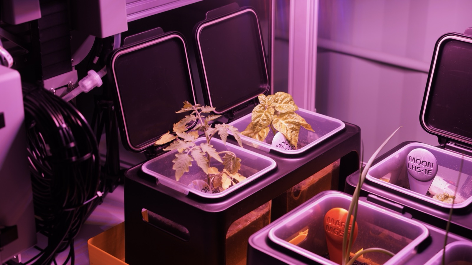 AgTech Lab / AgroBrain photo 69