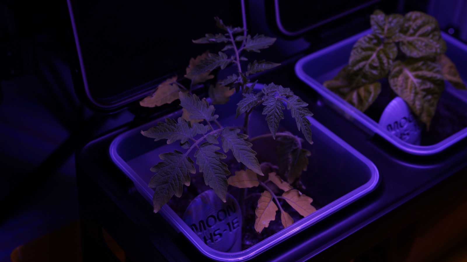AgTech Lab / AgroBrain photo 70