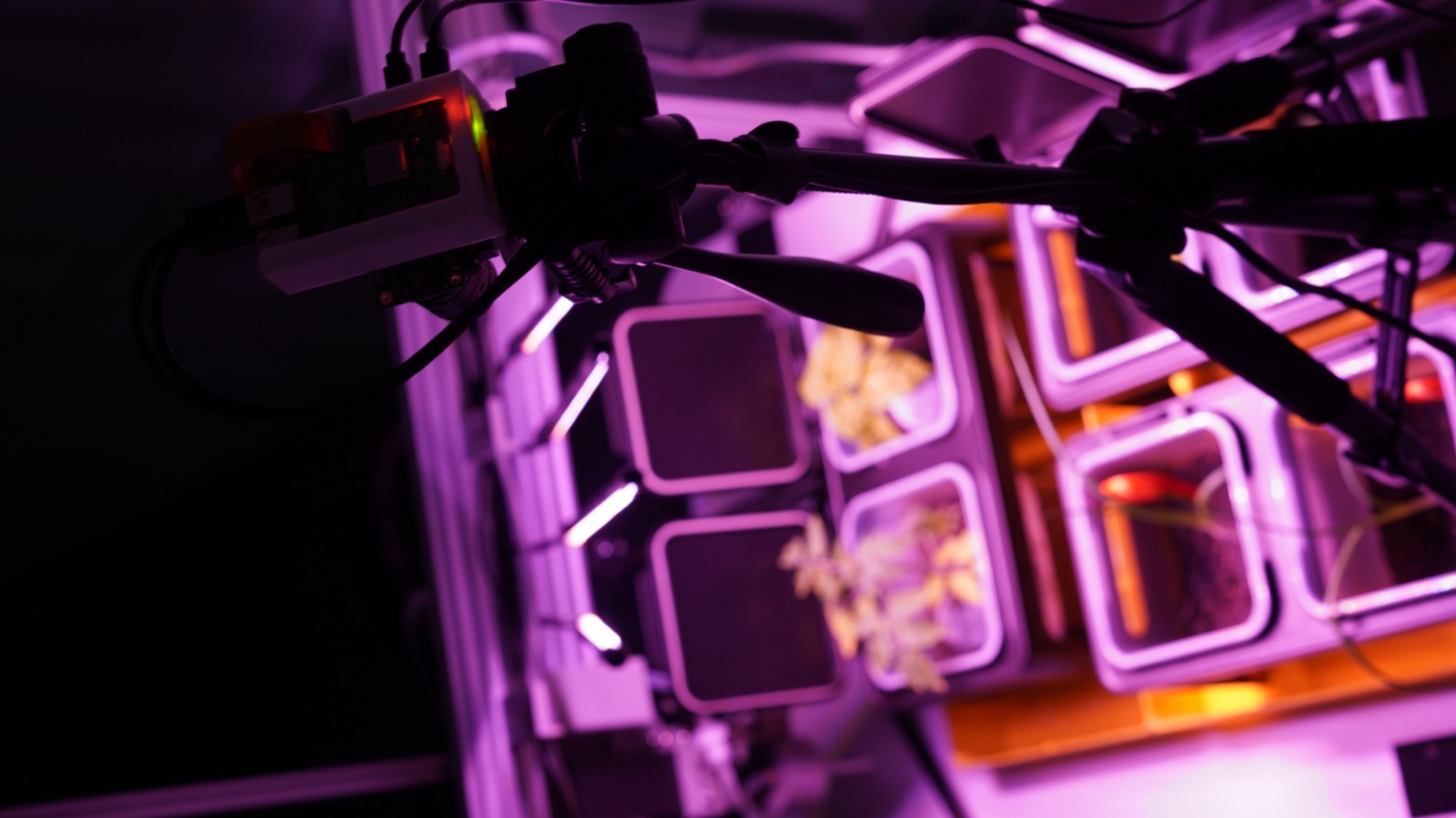 AgTech Lab / AgroBrain photo 73