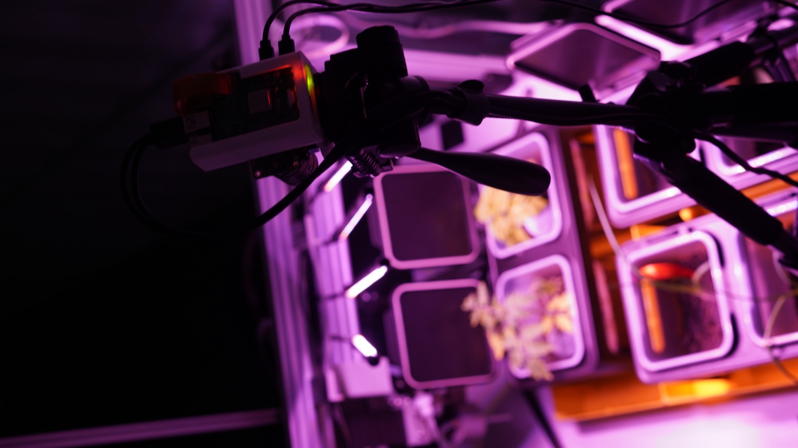 AgTech Lab / AgroBrain photo 74