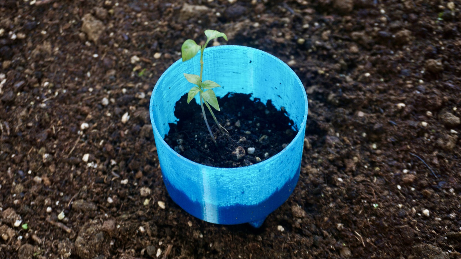 AgTech Lab / AgroBrain photo 92
