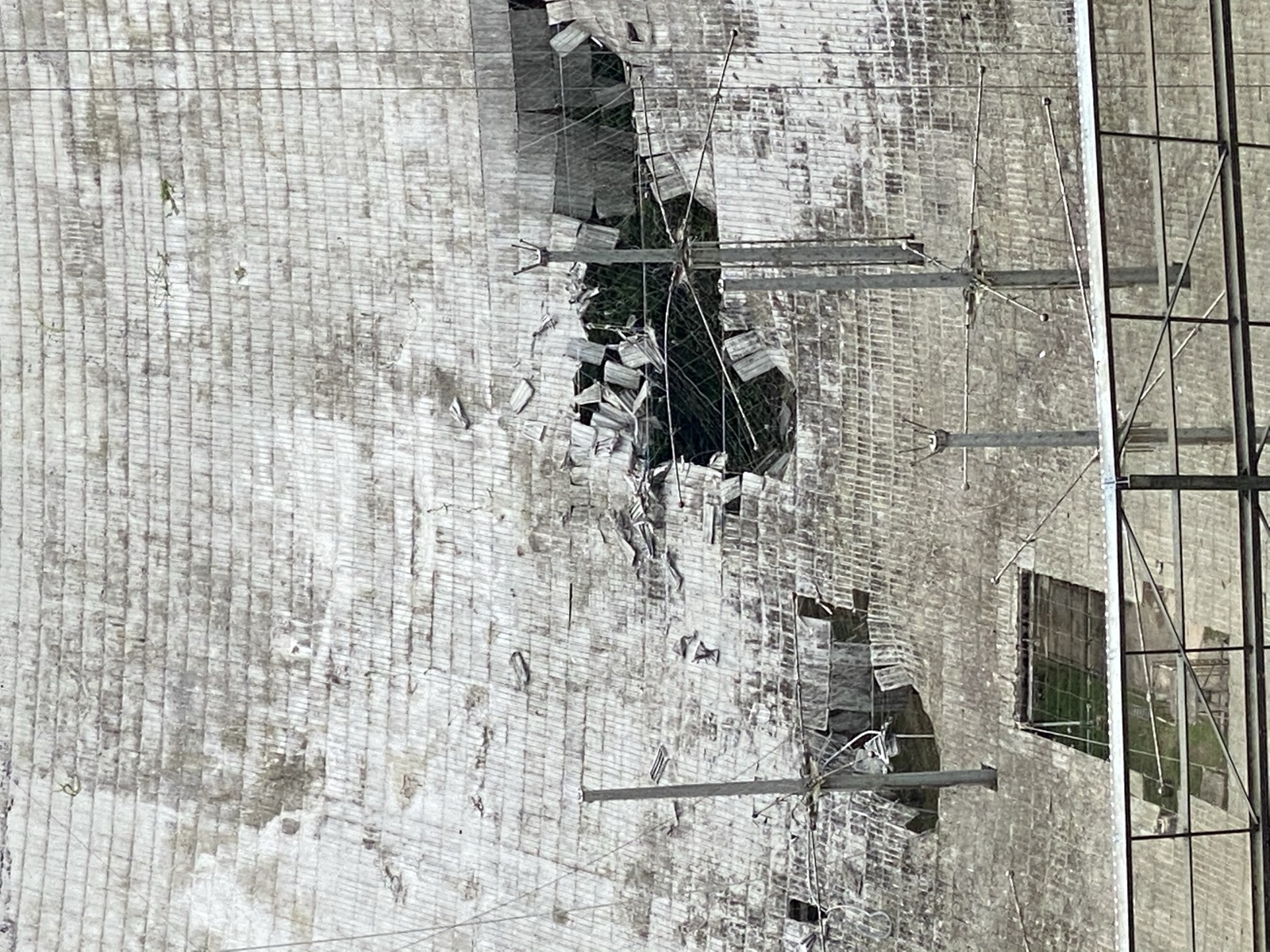 Arecibo Observatory photo 27