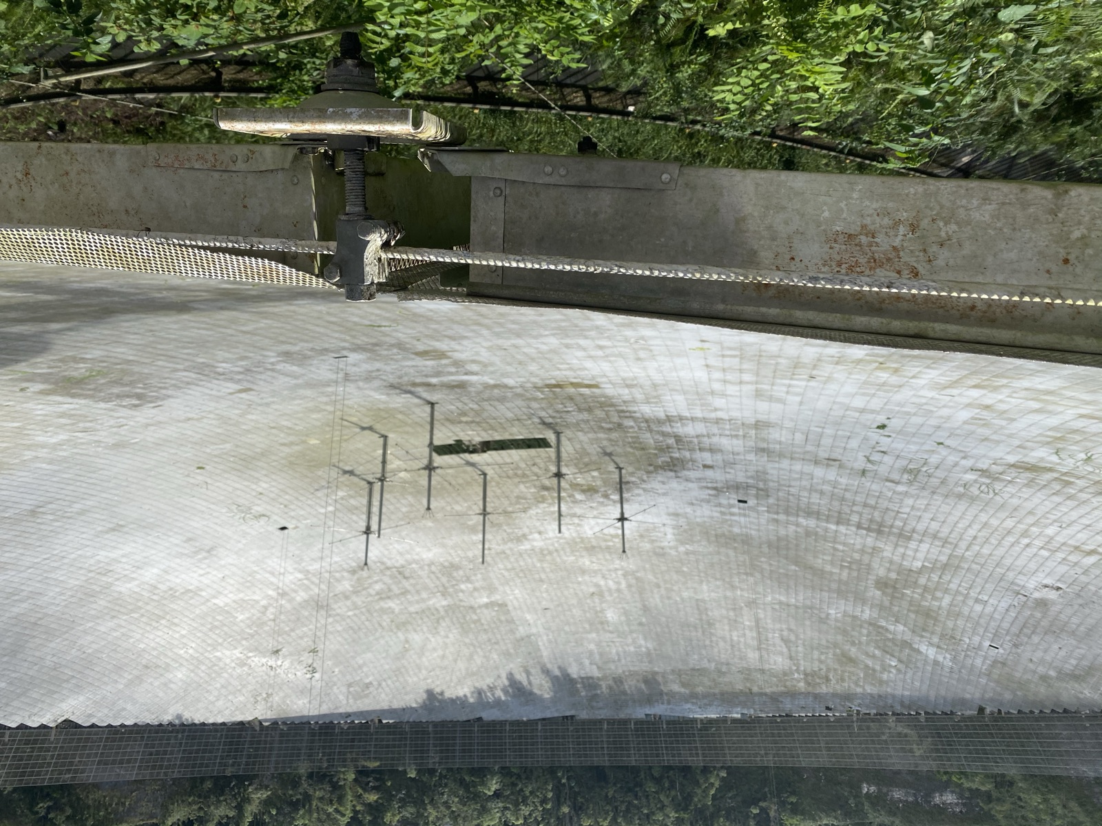 Arecibo Observatory photo 94