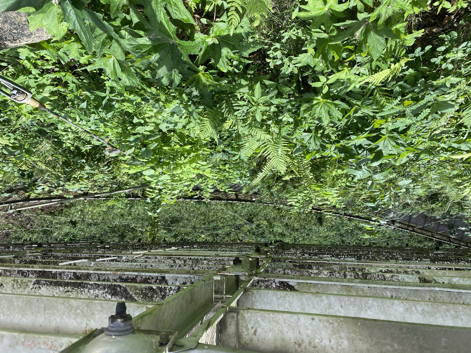 Arecibo Observatory photo 95