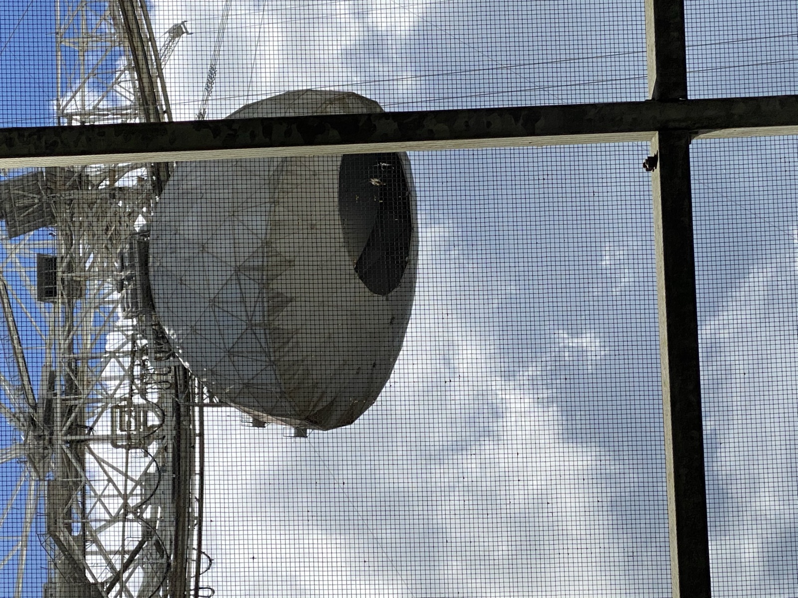 Arecibo Observatory photo 97